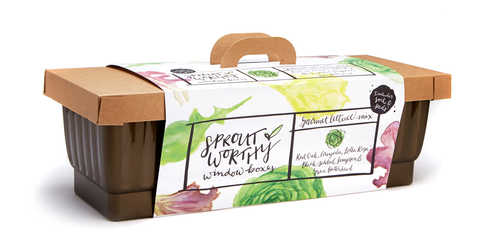 984x507 Sprout Worthy Product Launch - Watercolor Packaging