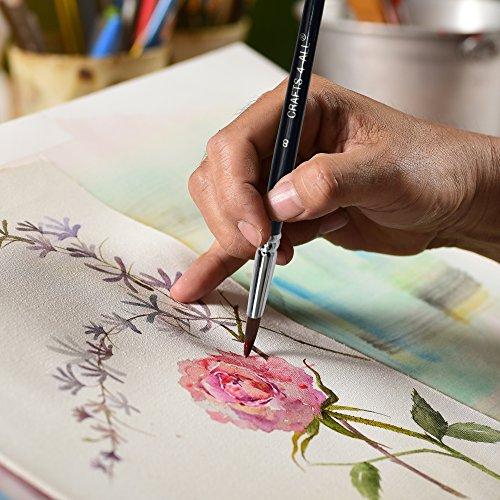 500x500 Paint Brushes 12 Pieces Set, Professional Fine Tip Paint Brush Set - Watercolor Paint Brush Set