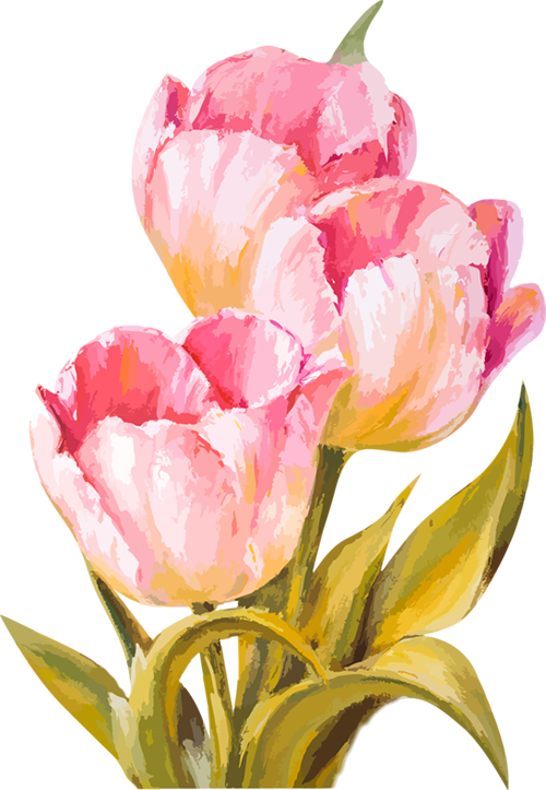 500x723 Paint Clipart Watercolour Paint, Paint Watercolour Paint - Watercolor Paint Clipart