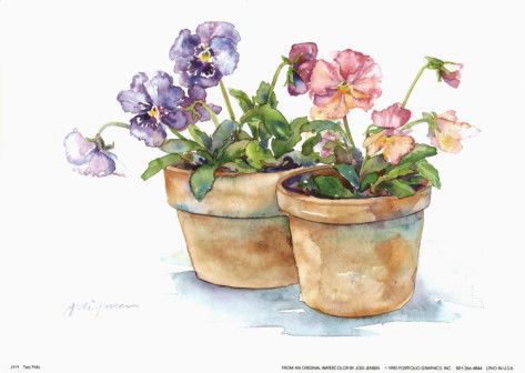 473x336 Impatiens Watercolor Circadianreflections Blog - Watercolor Paint Pots