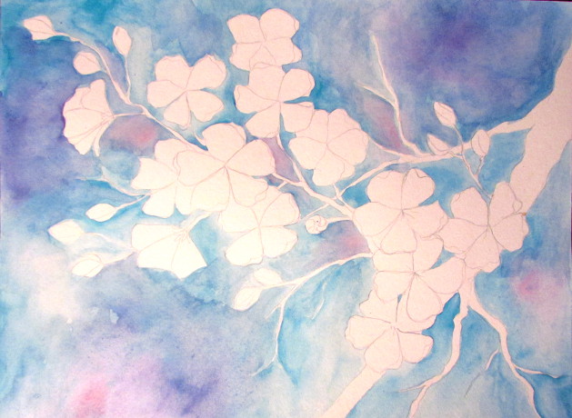 629x460 Cherry Blossom Watercolor Painting - Watercolor Painting Background