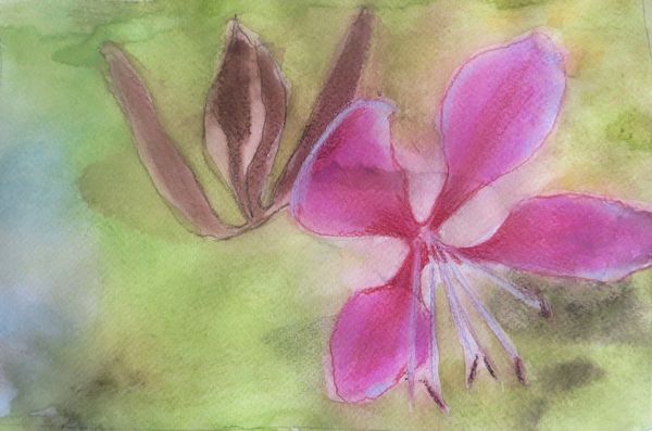 600x397 Sharpen Your Painting Skills With 4 Watercolor Pencil Techniques - Watercolor Painting Drawing