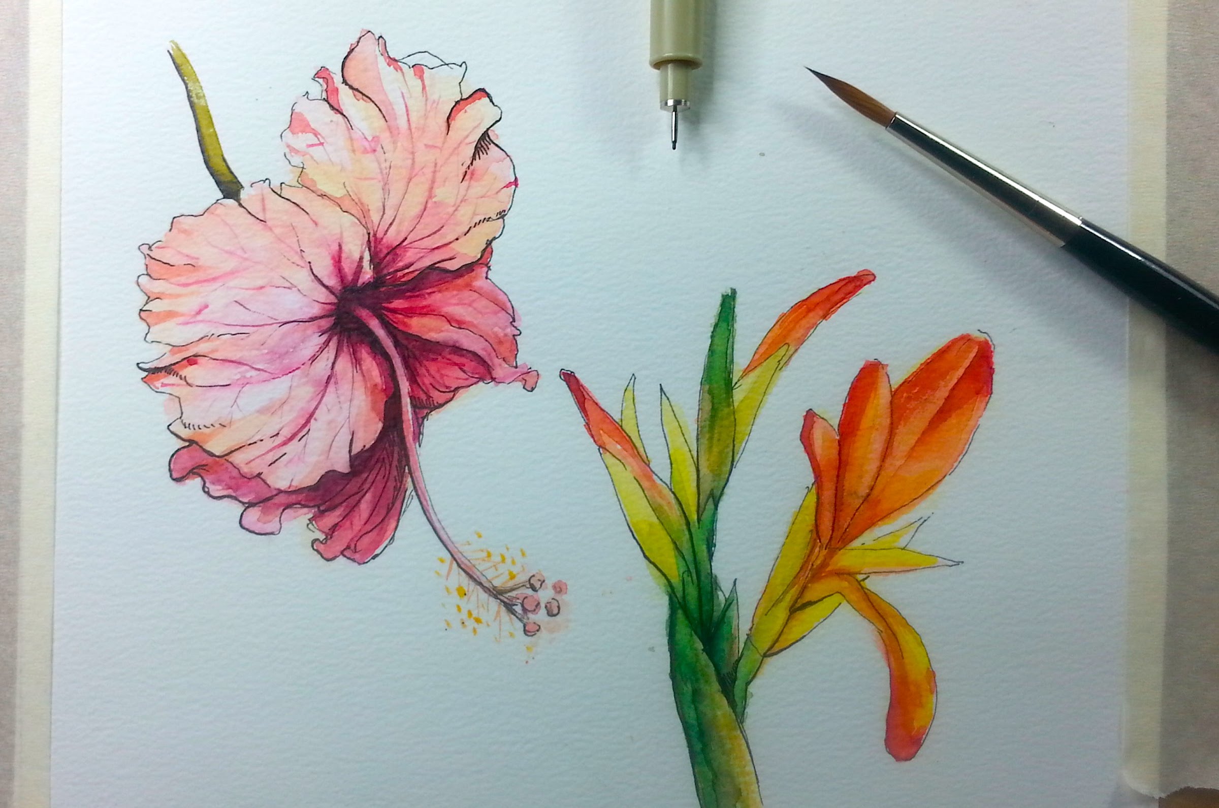 2400x1591 Drawing Amp Painting Hibiscus Flower With Ink Amp Watercolor - Watercolor Painting Drawing