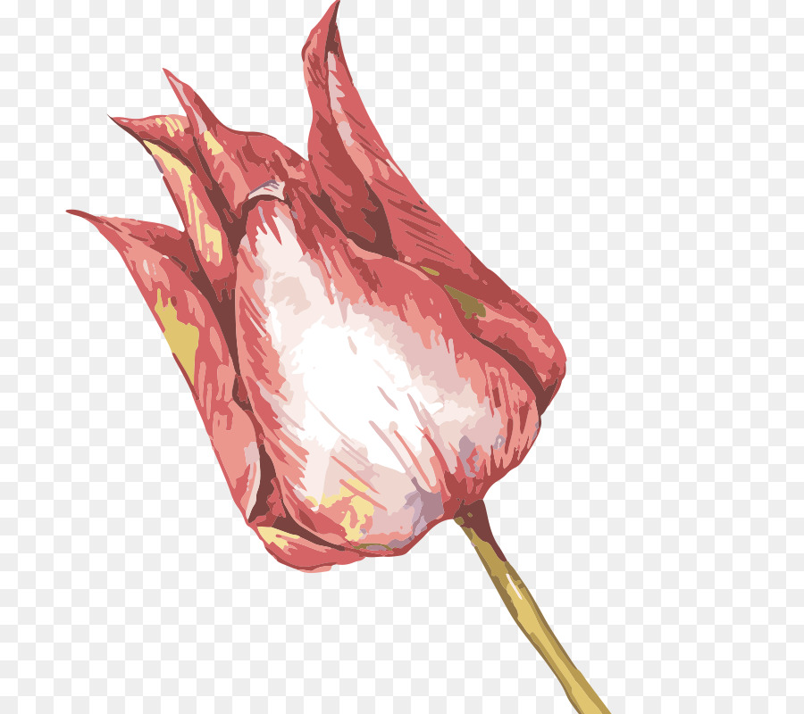 900x800 Watercolor Painting Oil Painting Illustration - Watercolor Painting Effect