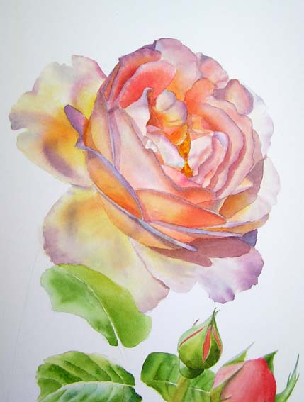 429x567 Watercolor Palette - Watercolor Painting Flowers For Beginners
