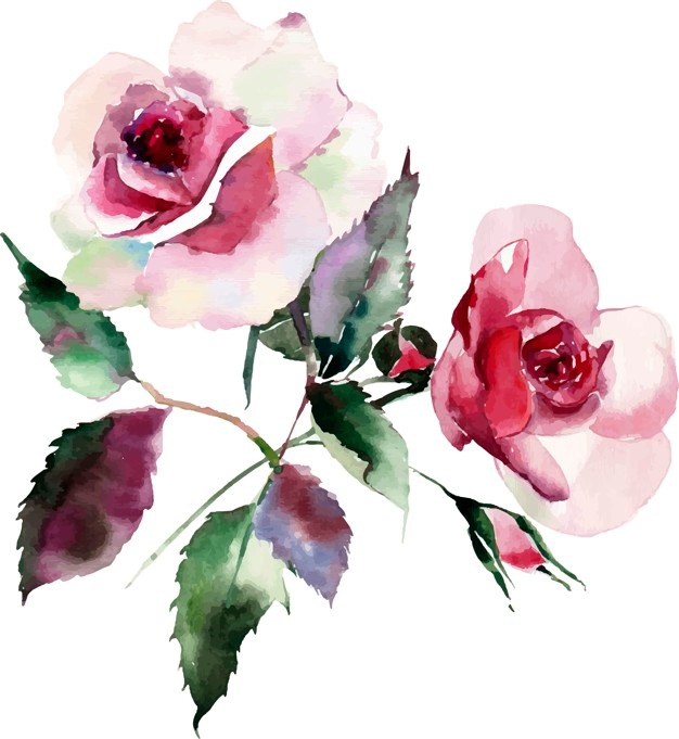 626x681 Watercolor Vectors, Photos And Psd Files Free Download - Watercolor Painting Flowers For Beginners