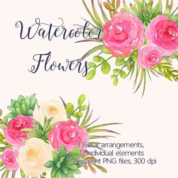 570x570 Watercolor Flowers Clipart Watercolour Succulent And Roses Etsy - Watercolor Painting Flowers For Beginners