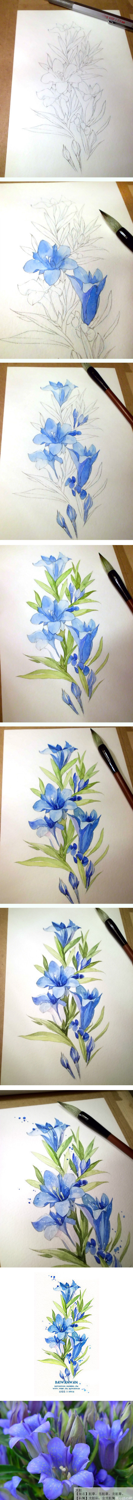 440x4962 20 Delicate Colorful Watercolor Flowers Painting Tutorials In Images - Watercolor Painting For Beginners Flowers