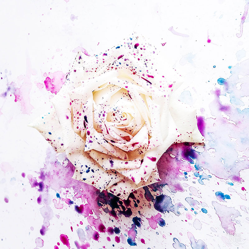 800x800 Watercolour Flower Painting That Oozes Dynamic Loveliness - Watercolor Painting From Photographs