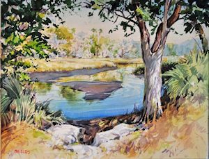 300x229 Citrus Watercolor Society, Inverness, Florida, Watercolor Workshops - Watercolor Painting From Photographs