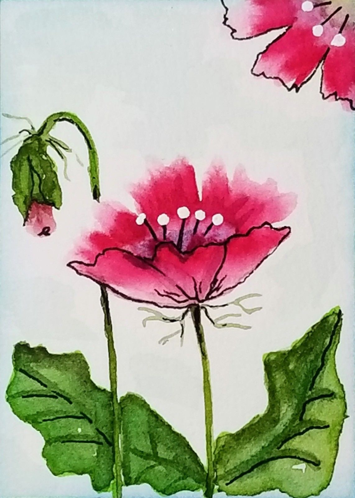 1142x1599 New Original Watercolor Aceo Painting Love My Poppy Art By - Watercolor Painting Love