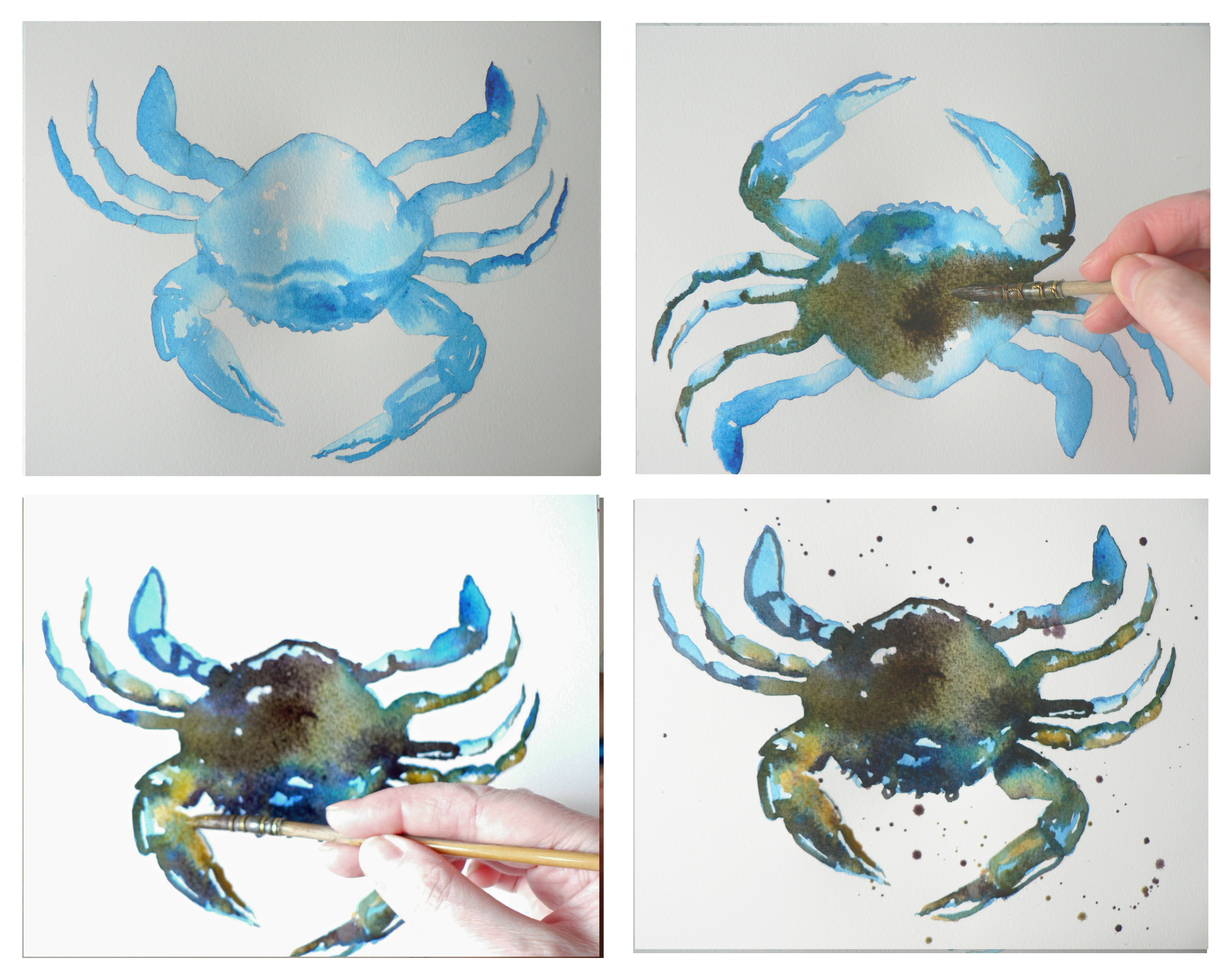 2814x2237 How To Paint A Watercolour Crab Alison Fennell Art - Watercolor Painting Steps
