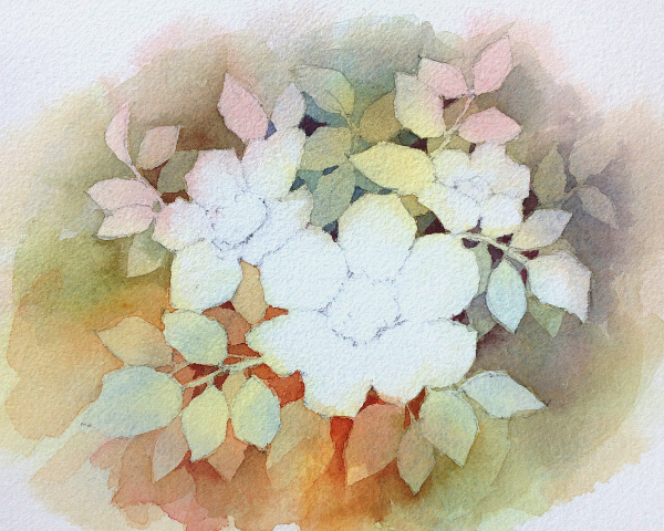 600x480 Introduction To Negative Watercolor Painting - Watercolor Painting Steps