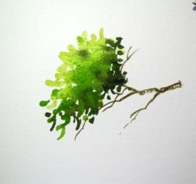 400x376 Marvin Chew Painting Trees And Foliage In Watercolour (... Nice - Watercolor Painting Trees And Foliage