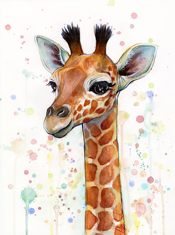 594x799 Baby Giraffe Watercolor Art Print By Olga Shvartsur - Watercolor Painting Tumblr