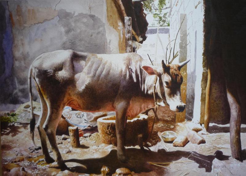 800x573 Cow By Artist Raghunath Sahoo Animals Art Watercolor Paintings - Watercolor Paintings Of Cows