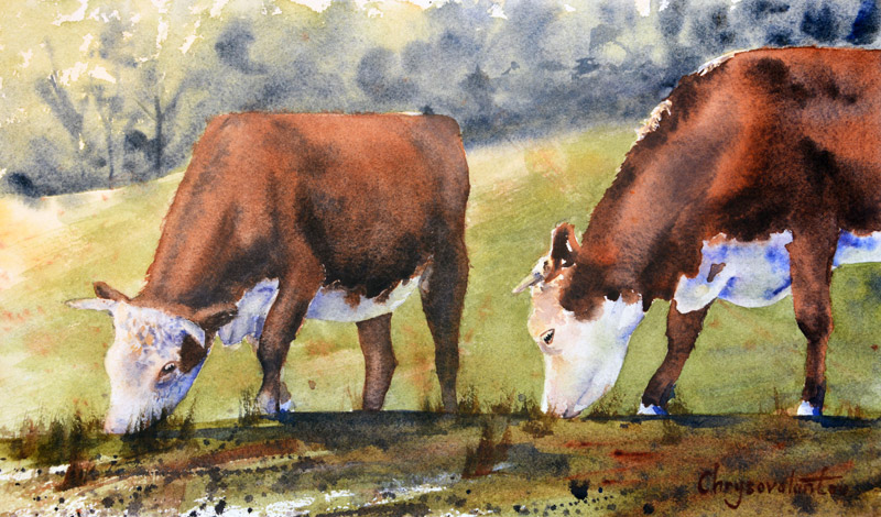 800x470 Cows Grazing In Field Watercolour Painting Chrysovalantou - Watercolor Paintings Of Cows