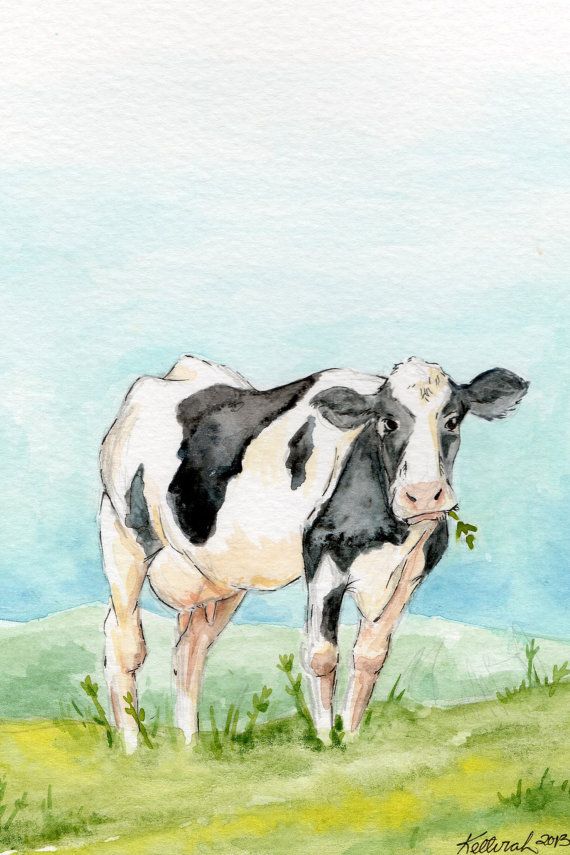 570x855 Gallery Watercolor Paintings Of Cows, - Watercolor Paintings Of Cows