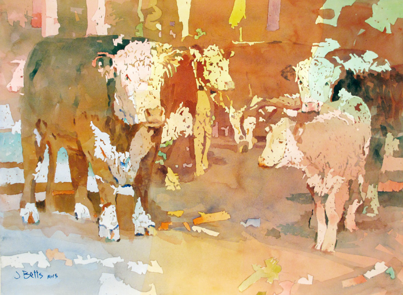 800x586 Judi Betts - Watercolor Paintings Of Cows