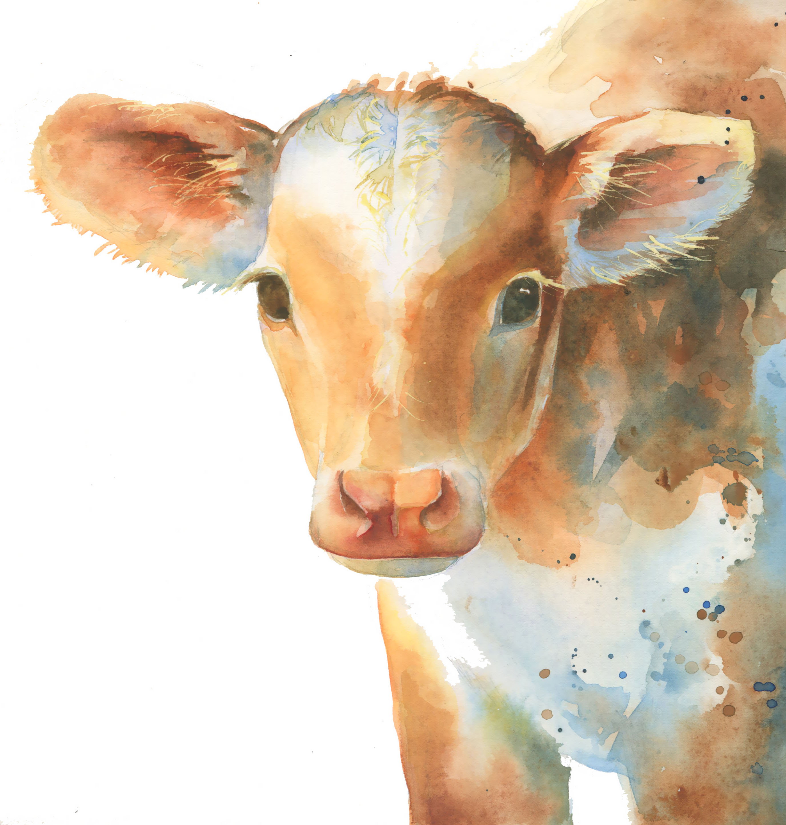2752x2890 Katrina Pete - Watercolor Paintings Of Cows