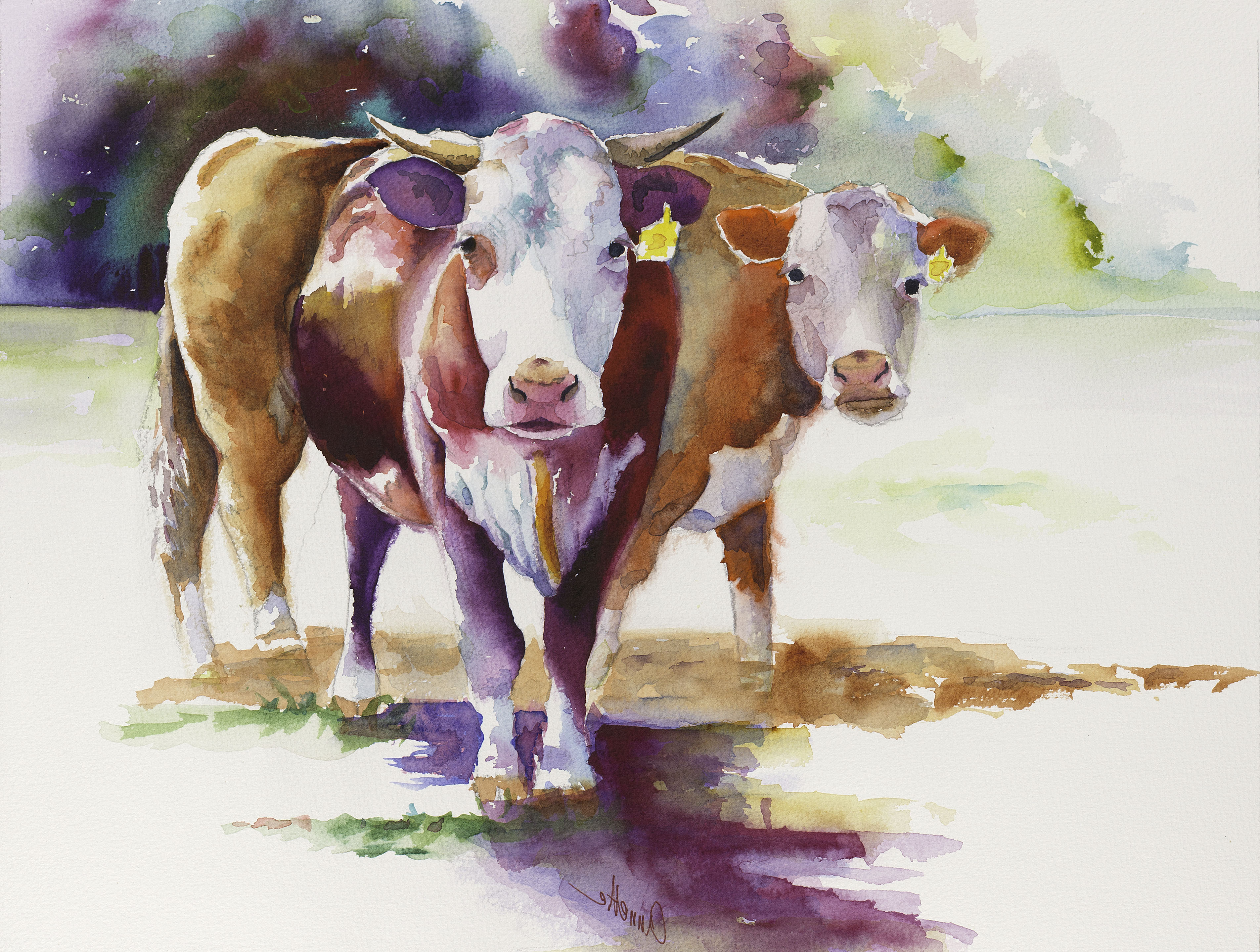 3808x2877 Watercolor Paintings Of Cows - Watercolor Paintings Of Cows