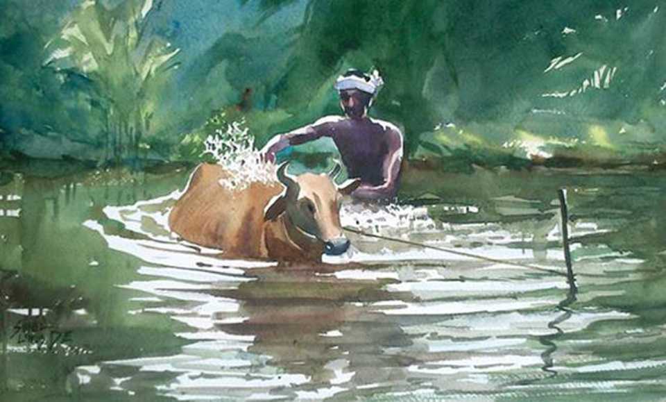 960x579 Cow Bathing Watercolor Painting Sunil - Watercolor Paintings Of Cows