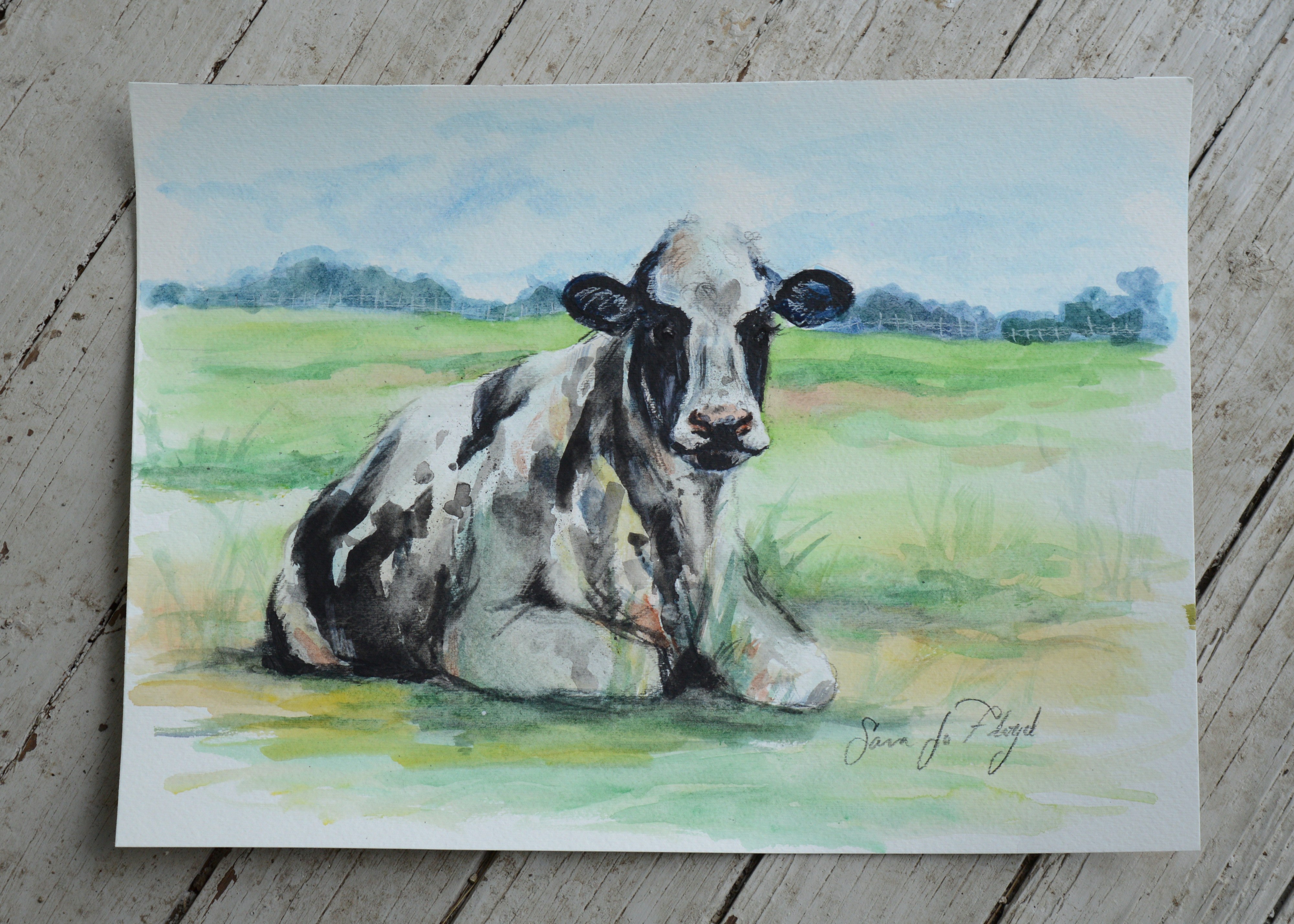 Watercolor Paintings Of Cows At PaintingValley Com Explore Collection   Watercolor Paintings Of Cows 4 