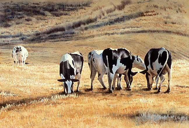 648x438 Butter Amp Cheese Society - Watercolor Paintings Of Cows