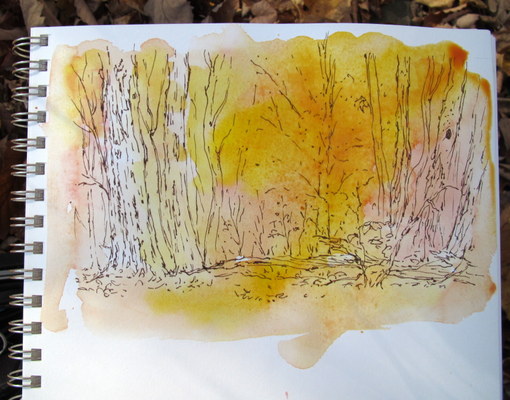 510x400 Everyday Artist Step By Step Watercolor Painting Autumn Glow - Watercolor Paintings Of Fall Scenes