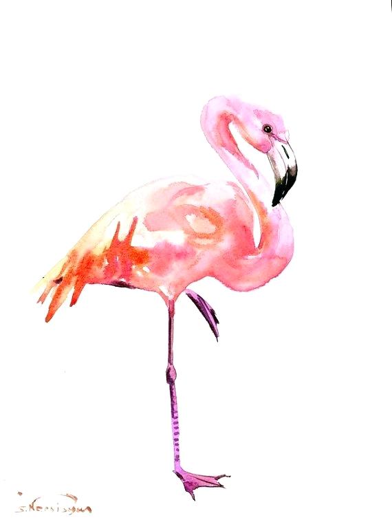 570x759 Flamingo Paintings Birds Painting Flirty Flamingo By Pat St - Watercolor Paintings Of Flamingos