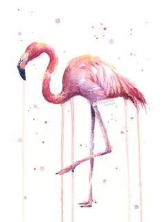 236x323 17 Best Watercolor Pink Flamingos Images Watercolor - Watercolor Paintings Of Flamingos
