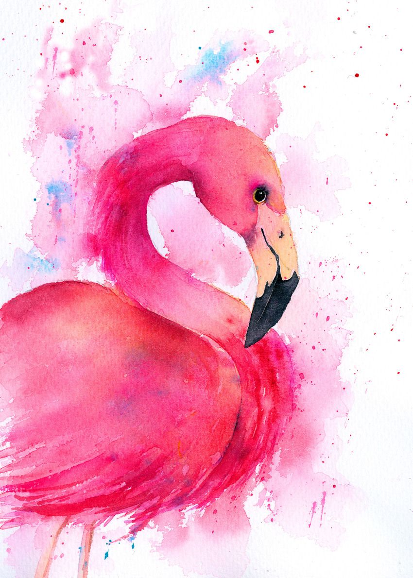850x1190 Pin By Littlemisscolada On Flamingo Love Flamingo - Watercolor Paintings Of Flamingos
