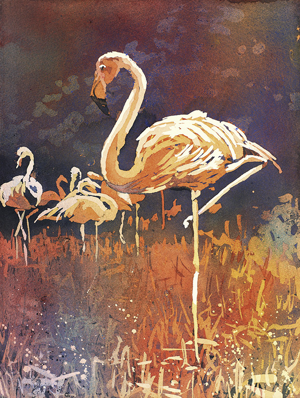 600x795 Poured Watercolor Of Flamingos - Watercolor Paintings Of Flamingos