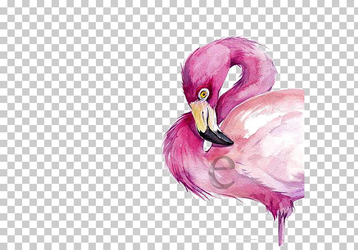 728x510 Watercolor Painting Flamingo Drawing, Watercolor Flamingo Png - Watercolor Paintings Of Flamingos