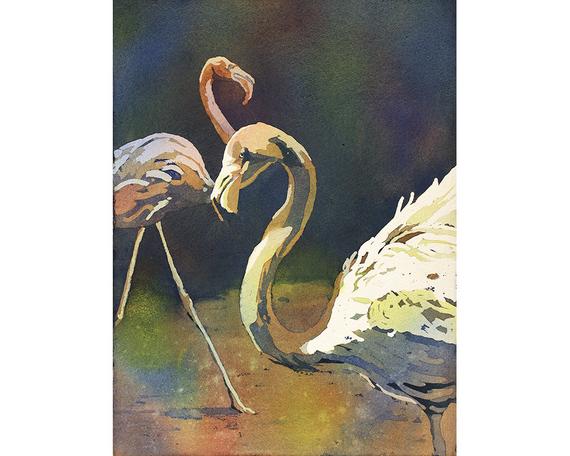 570x456 Watercolor Painting Of Flamingos - Watercolor Paintings Of Flamingos