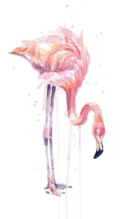 570x926 Drawn Flamingo Painted - Watercolor Paintings Of Flamingos