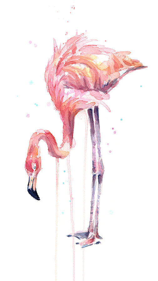 505x900 Flamingo Illustration Watercolor - Watercolor Paintings Of Flamingos