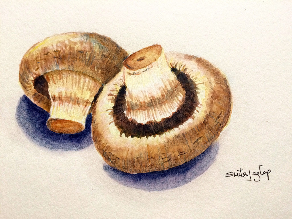 1024x768 52366~ - Watercolor Paintings Of Fruits And Vegetables