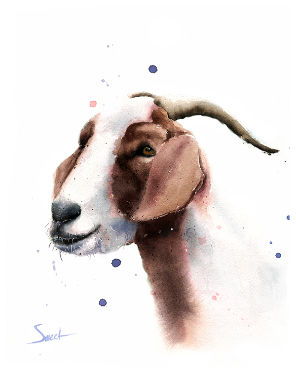 600x756 Goat Watercolor Print Watercolor Animal Paintings - Watercolor Paintings Of Goats