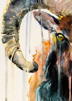236x333 Goat Watercolor Painting Print 8 X 12 Goat, Animal, Illustration - Watercolor Paintings Of Goats