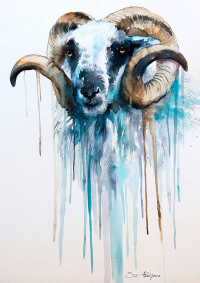 400x566 Sheep Watercolor Painting Print By Slaveika Aladjova, Art, Animal - Watercolor Paintings Of Goats