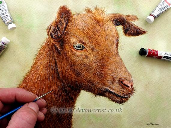 570x428 Watercolour Painting Goat Original Painting Goat Hair Etsy - Watercolor Paintings Of Goats