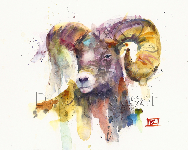 740x592 Wildlife Watercolor Paintings By Dean Crouser Designwrld - Watercolor Paintings Of Goats