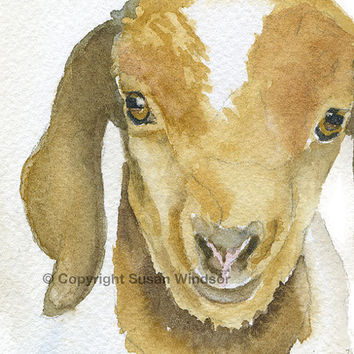 354x354 Cherry Blossoms Watercolor Painting - Watercolor Paintings Of Goats