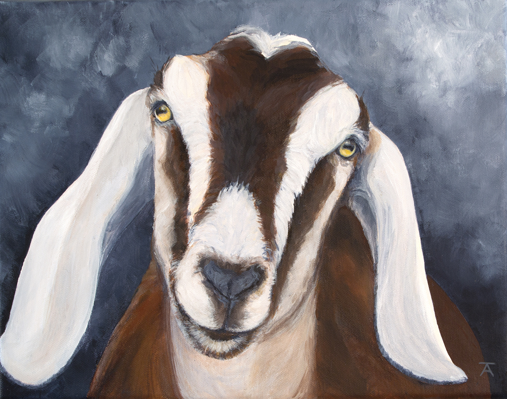 1000x788 Gallery Of Art Work Tracy Anderson - Watercolor Paintings Of Goats