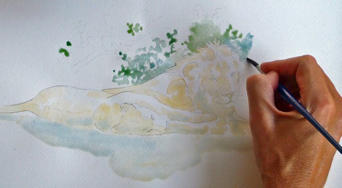 700x385 How To Sketch Lions In Watercolour - Watercolor Paintings Of Lions