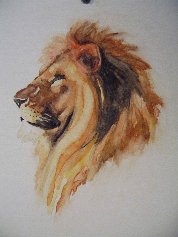 600x800 Lion, Tattoos And Body Art And Sketches Ujn - Watercolor Paintings Of Lions