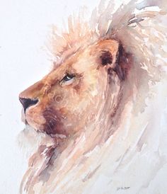 236x274 50 Best Watercolour Lions Images Paint, Watercolor - Watercolor Paintings Of Lions
