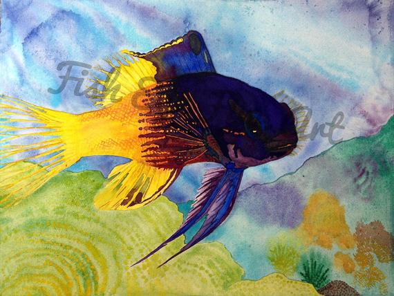 570x428 Royal Gramma Fish Watercolor Art Tropical Fish Painting High Etsy - Watercolor Paintings Of Tropical Fish