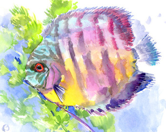 340x270 Tropical Fish Art Group With Items - Watercolor Paintings Of Tropical Fish